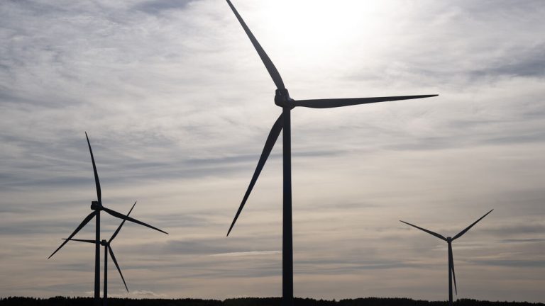 Datahallar kan återuppliva Sveriges vindkraftsindustri, enligt Green Power Swedens vd.