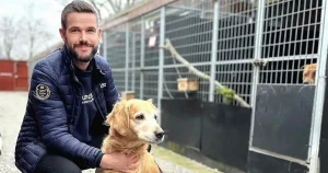 Hundstallet: ”Håller på att bli en klassfråga”