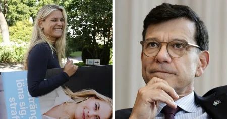 Amanda Sokolnicki: Sverige är ett land fullt av bortskämda ”nepo babies” – och politikerna fortsätter göda dem