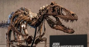 Skelett efter nyupptäckt dinosaurie sålt