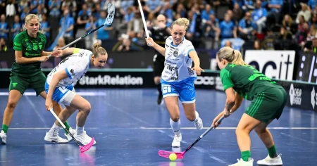 Ekonomisk kris i innebandyn: ”Tar på sig för stora skor”