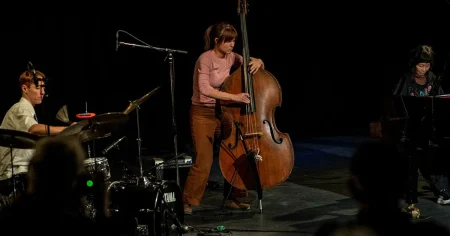 Svensk jazztrio bjuder på ett fascinerande äventyr