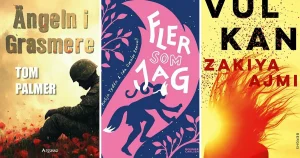 Kamratpostens recensenter: Här är årets bästa böcker