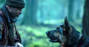 Sebastian Lindvall: Hundar är alfahannarnas bästa vän i Hollywood