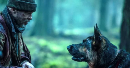 Sebastian Lindvall: Hundar är alfahannarnas bästa vän i Hollywood