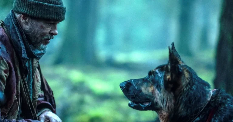 Sebastian Lindvall: Hundar är alfahannarnas bästa vän i Hollywood