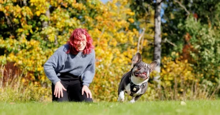 Veterinärpriserna har skjutit i höjden: ”Tillkommer ofta stora kostnader”