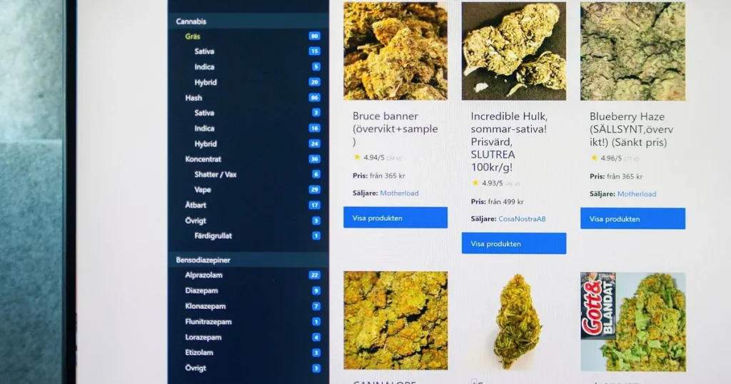 Fängelse för svenskar bakom stor knarksajt
