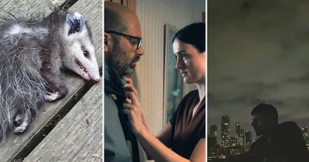 Filmlistan vecka 40: Guldpalmsvinnaren ”Fjord” är ny på bio