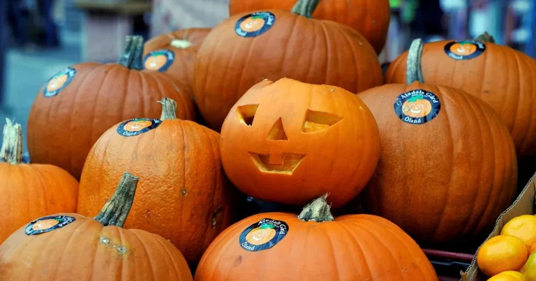 Alex Schulman: Snart firar vi halloween året runt
