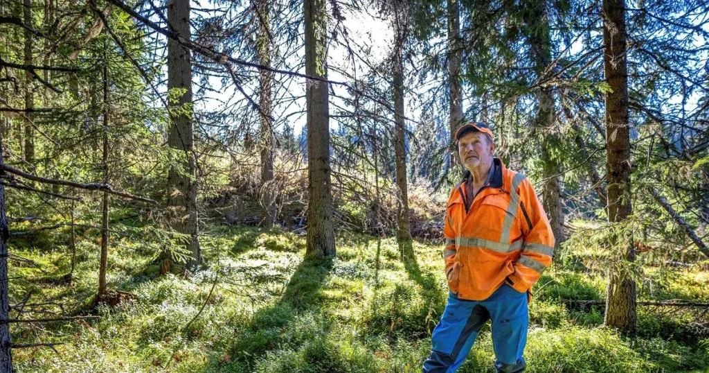 Staten stoppar familjens avverkning: ”Samhället lägger ner vår gård”