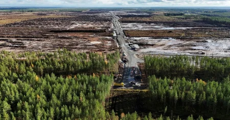 Google fällde 250 000 träd i Finland – utredning inledd